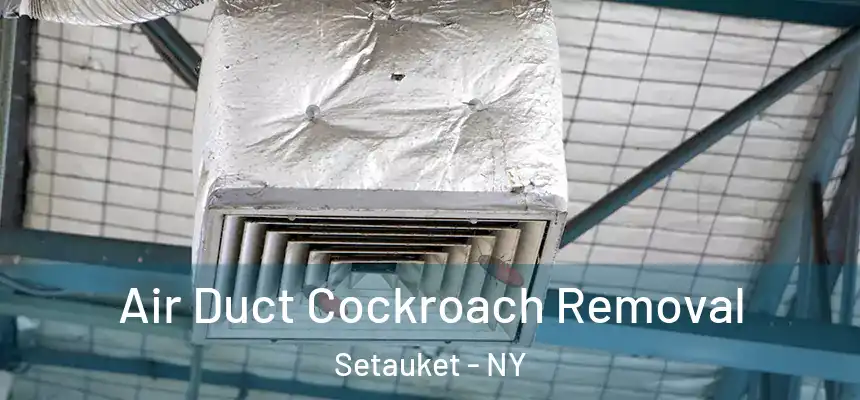  Air Duct Cockroach Removal Setauket - NY