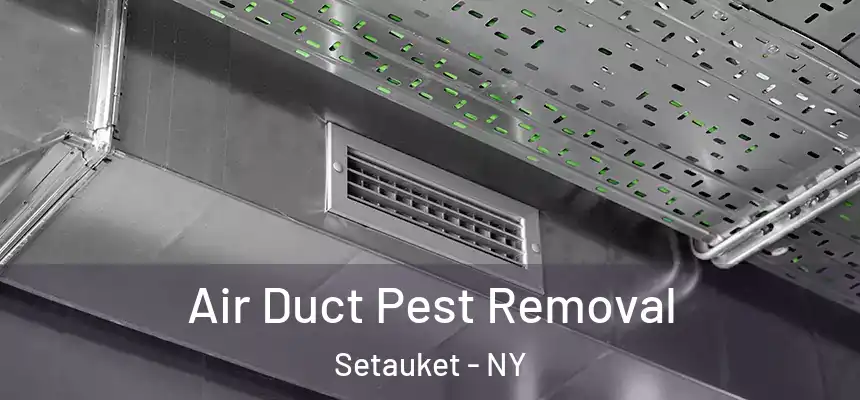  Air Duct Pest Removal Setauket - NY