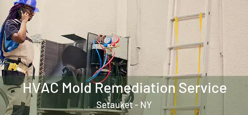  HVAC Mold Remediation Service Setauket - NY