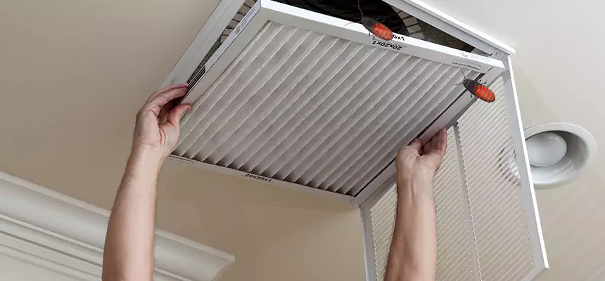Preventive Cockroach-Proofing for Ducts in Setauket
