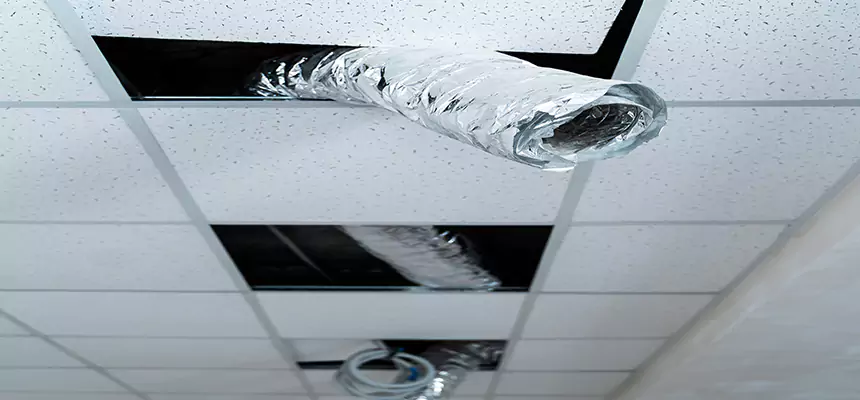 Affordable HVAC Sanitizing After Pest Removal in Setauket