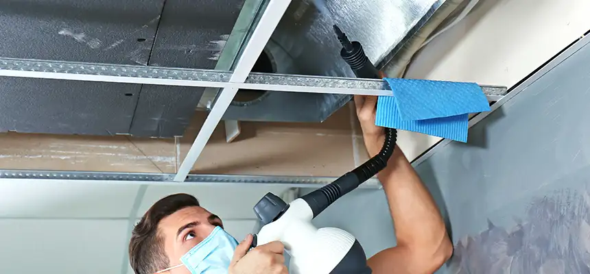 Our Air Duct Rodent Removal Services in Setauket, NY