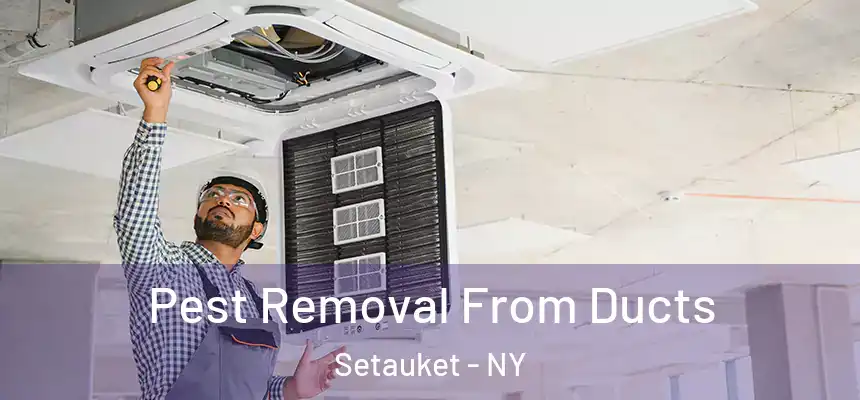  Pest Removal From Ducts Setauket - NY