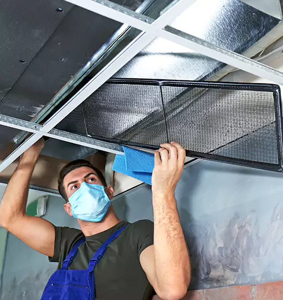 Professional Air Duct Pollen Cleaning in Setauket, NY