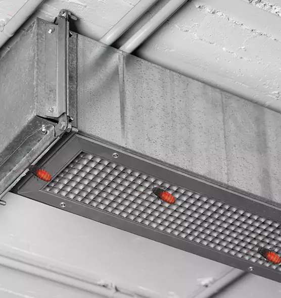 Affordable Insect Removal from Air Ducts in Setauket, NY