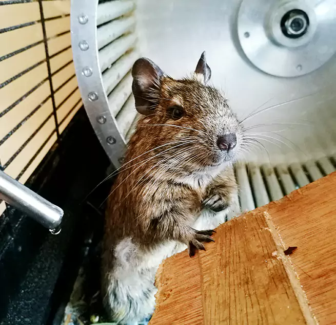 Why Homeowners & Businesses Trust Us Setauket, NY?