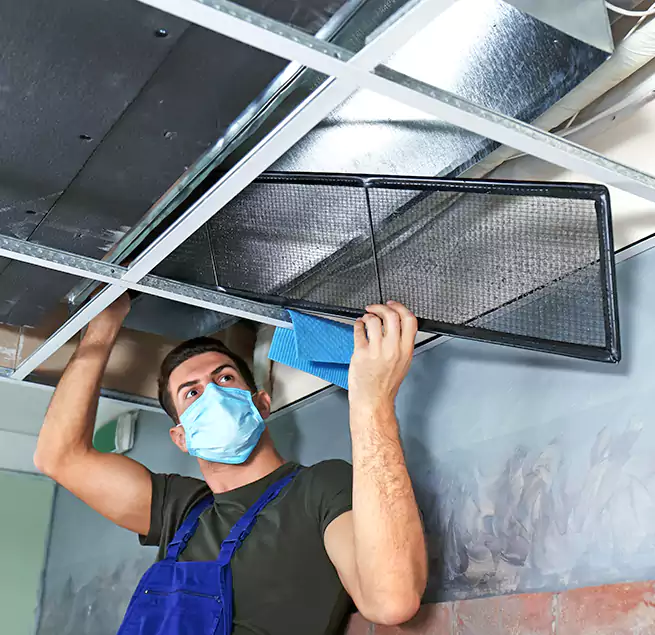 Why Homeowners Businesses Trust Us in Setauket, NY