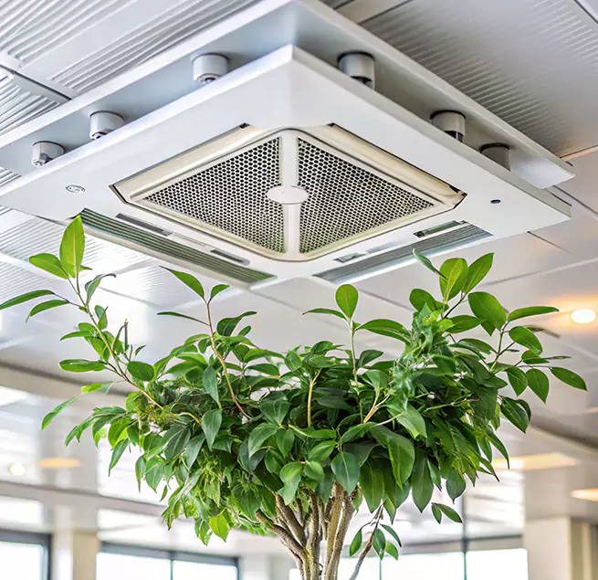 Why Homeowners & Businesses Trust Us in Setauket, NY