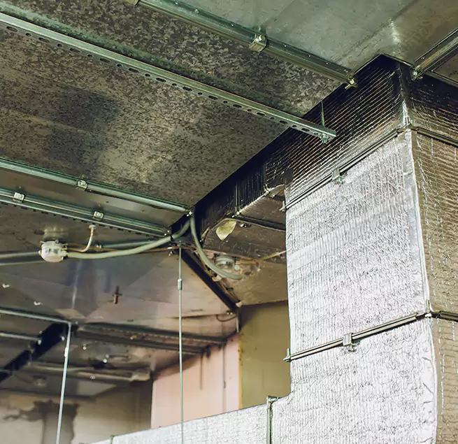 Why Homeowners & Businesses Trust Us in Setauket, NY?