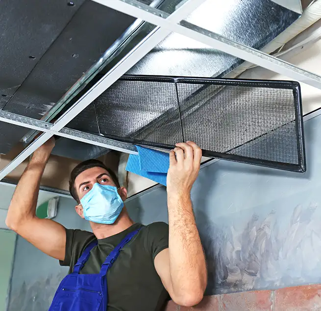 Why Homeowners & Businesses Trust Us in Setauket, NY?